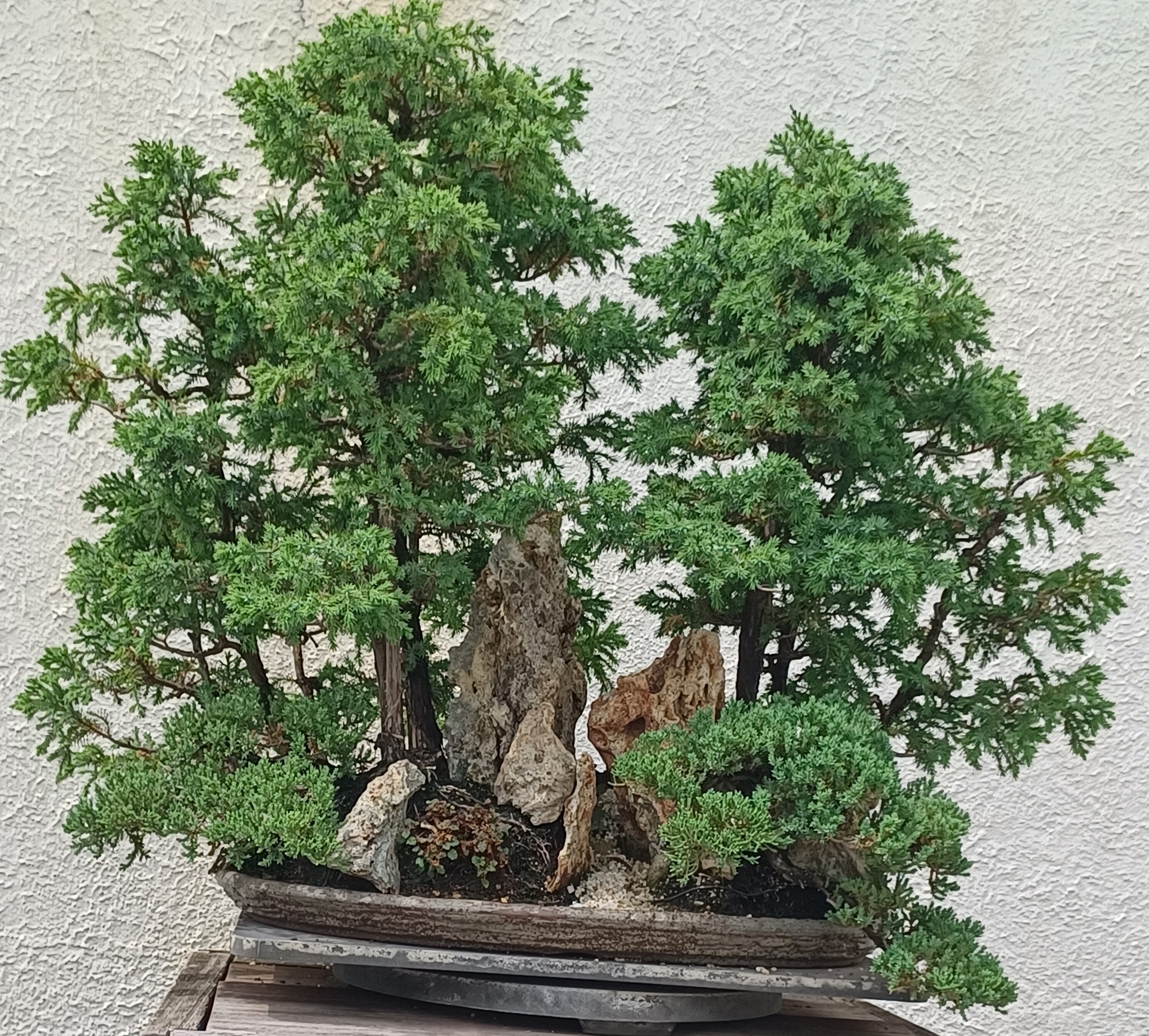 Terrain